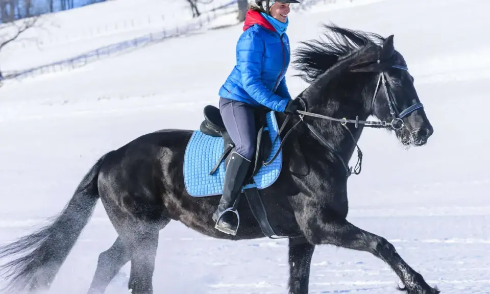 Eine Reiterin in blauer Jacke genießt das **reiten im schnee** auf einem schwarzen Pferd. Der Schnee spritzt unter den Hufen auf.