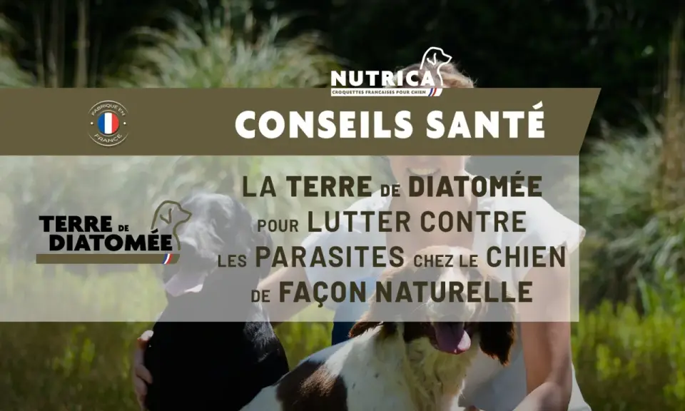 Conseils santé : la terre de diatomée pour lutter naturellement contre les parasites chez le chien. Fabriqué en France.