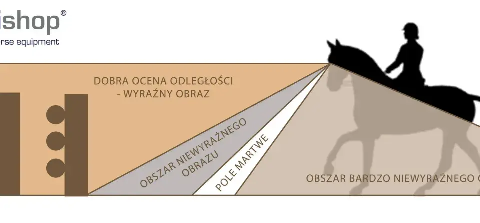 Ilustracja pokazuje, jak widzi koń: obszar wyraźnego obrazu, martwe pole i obszary niewyraźne.