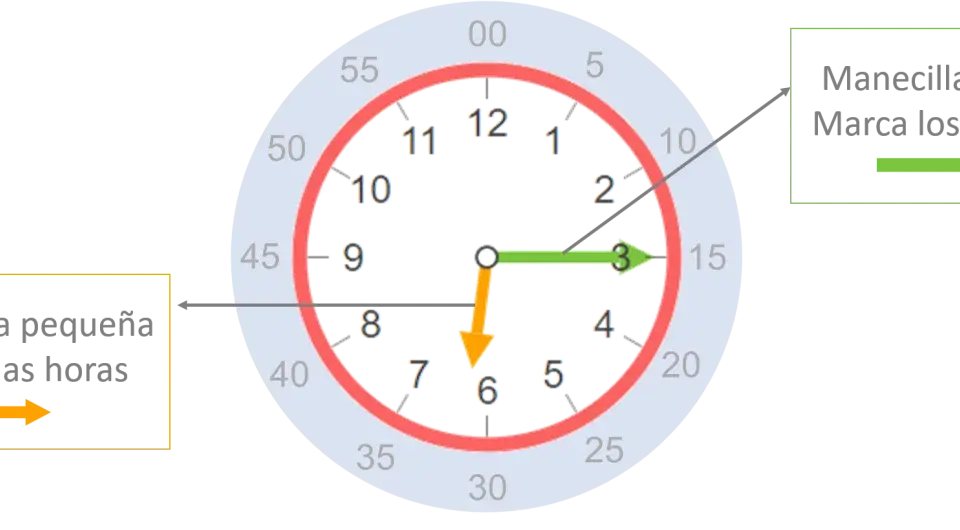 Reloj con manecillas: la pequeña marca las horas (cerca del 7) y la grande los minutos (en el 3).