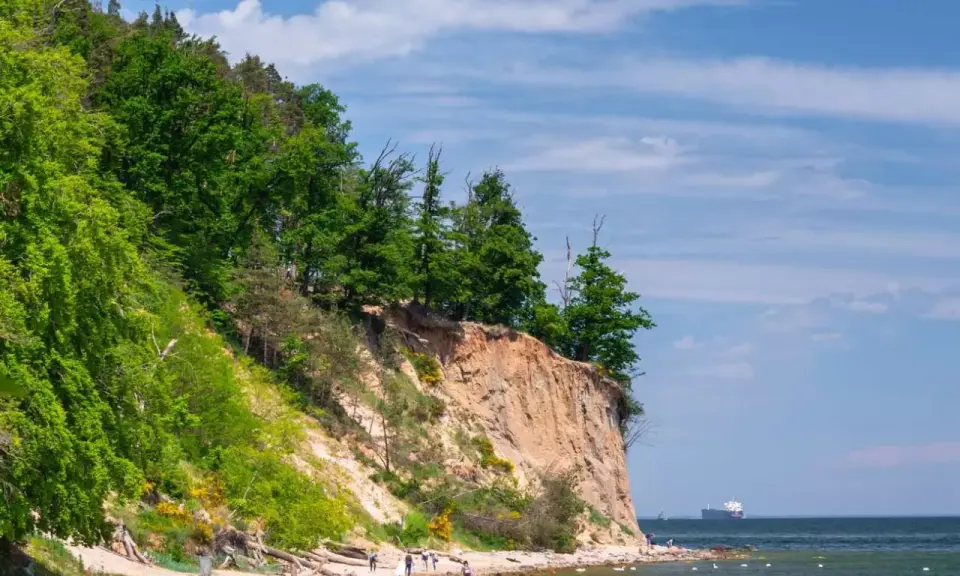 Piękny dzień nad morzem, klif porośnięty drzewami, piaszczysta plaża z spacerującymi ludźmi i statkiem na horyzoncie. Wspaniałe atrakcje nad morzem!