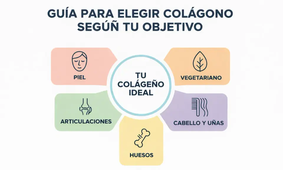 Colágeno: ¿Realmente funciona? Guía para elegir tu suplemento ideal