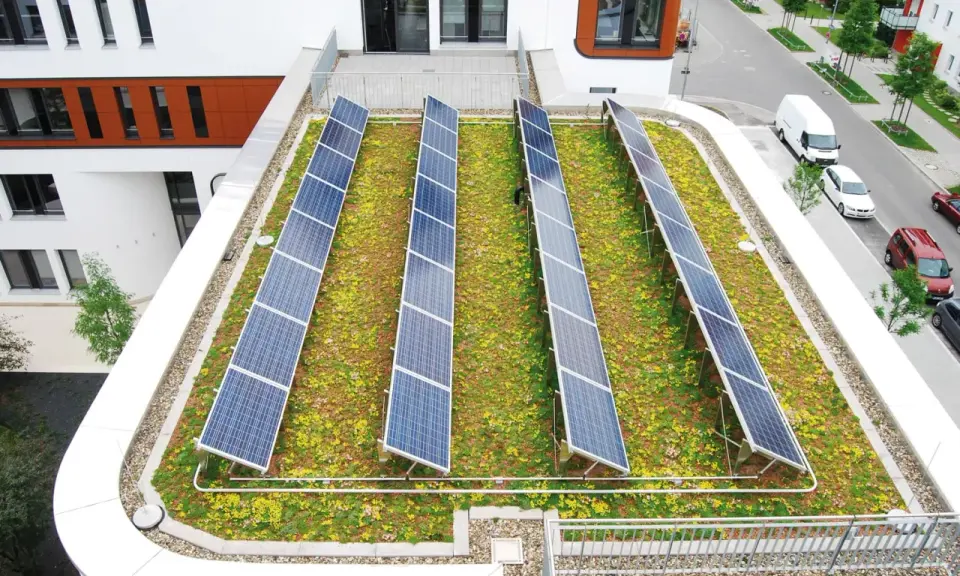 Reihen von Solarmodulen auf einem blühenden, **bewachsenen Dach** mit Blick auf eine Straße und Gebäude.