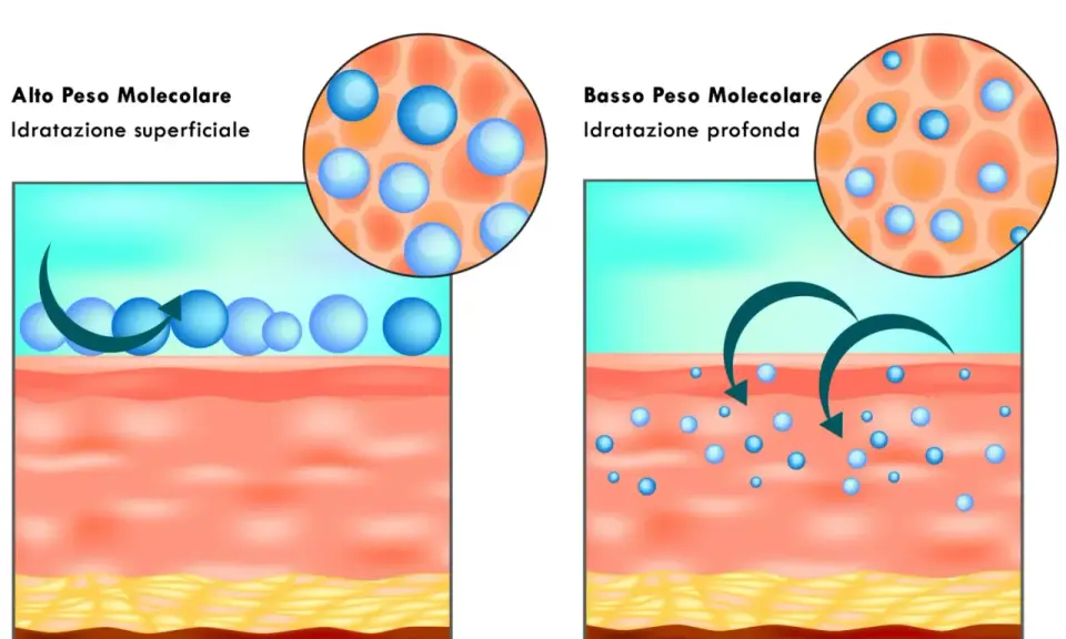 Acido ialuronico: alto peso molecolare per idratazione superficiale, basso peso molecolare per idratazione profonda.