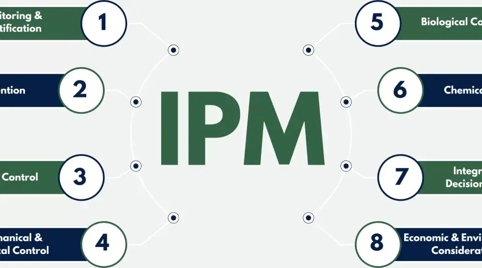 Diagram of IPM components: Monitoring, Prevention, Cultural, Mechanical, Biological, Chemical Control, Integration, and Economic/Environmental Considerations. These highlight the complexity, not necessarily drawbacks of IPM.