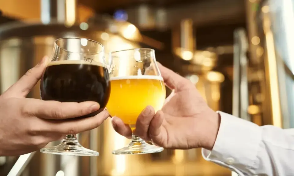 Dwie dłonie unoszą kieliszki z piwem. Jedno ciemne, drugie jasne, jak żywiec białe.