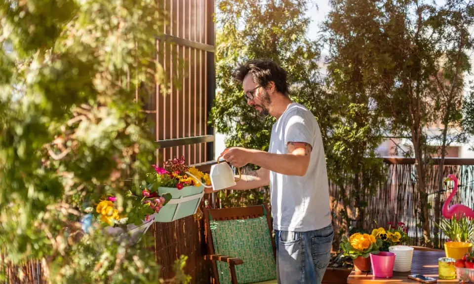 Un homme arrose une plante brise-vue qui pousse vite en bac sur son balcon ensoleillé.