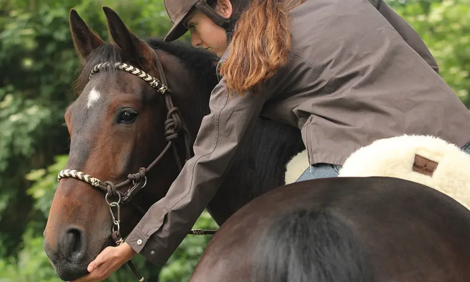Reiterin mit Sidepull-Trense streichelt Pferdekopf. Vertrauensvoller Moment beim Reiten mit Sidepull.