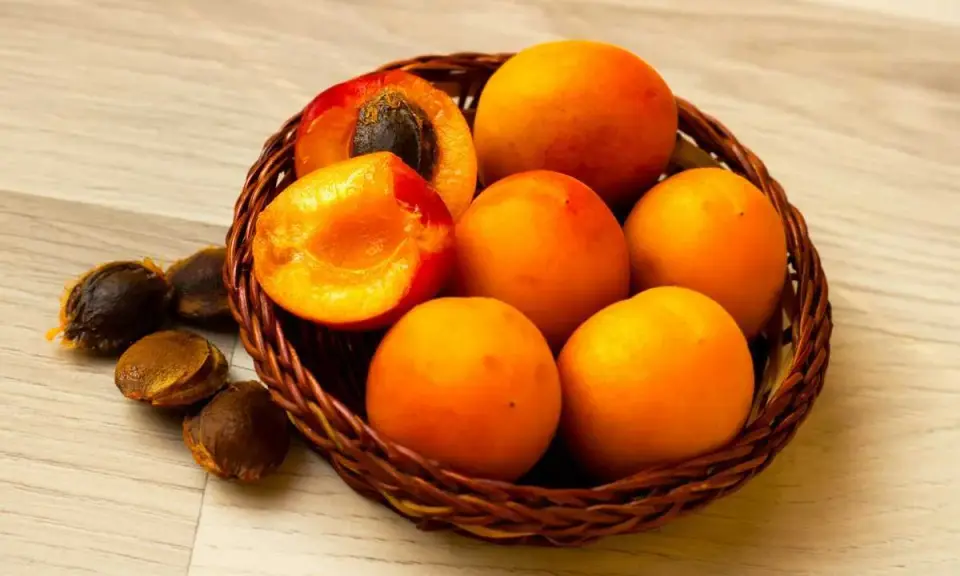 Un panier de fruits orangés, dont un coupé révélant son noyau abricot. Quelques noyaux sont dispersés à côté.
