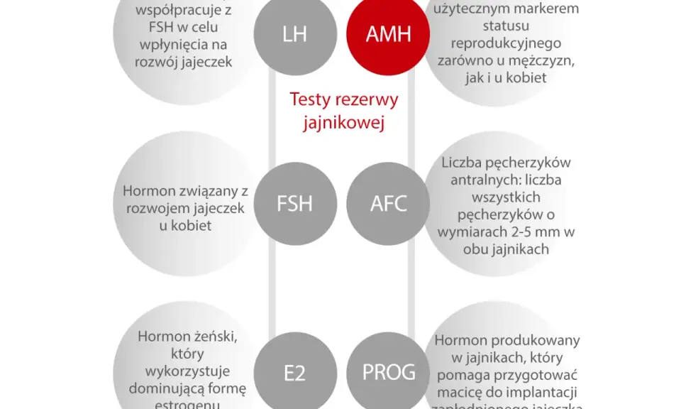 Schemat testów rezerwy jajnikowej: AMH, LH, FSH, AFC, E2, PROG.