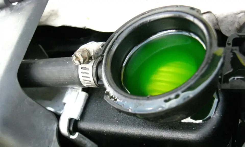 Líquido refrigerante verde brillante en el depósito del radiador, cerca de la junta culata. El aceite no se ve, pero el refrigerante es vital para el motor.