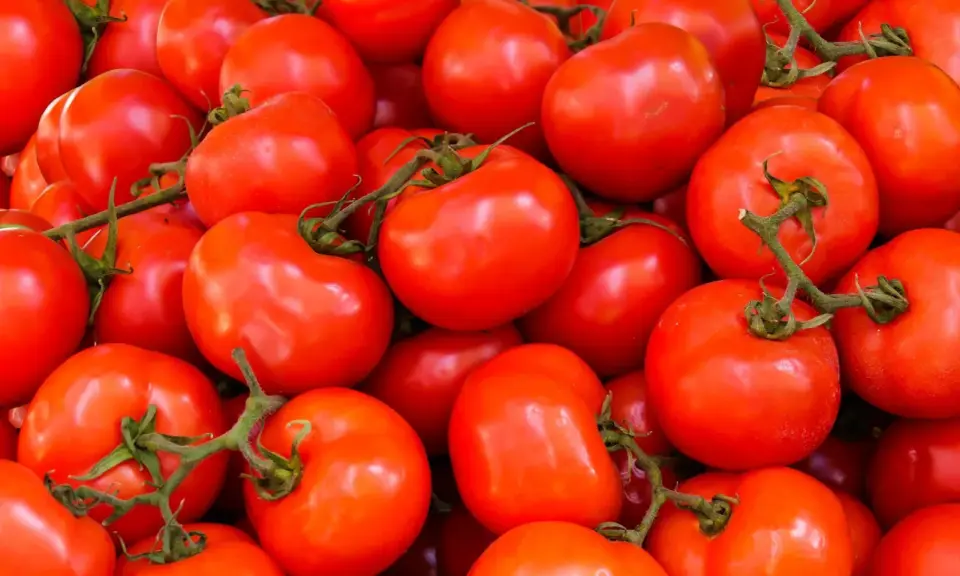 Mnóstwo soczystych, czerwonych pomidorów, idealnych na keto dietę.