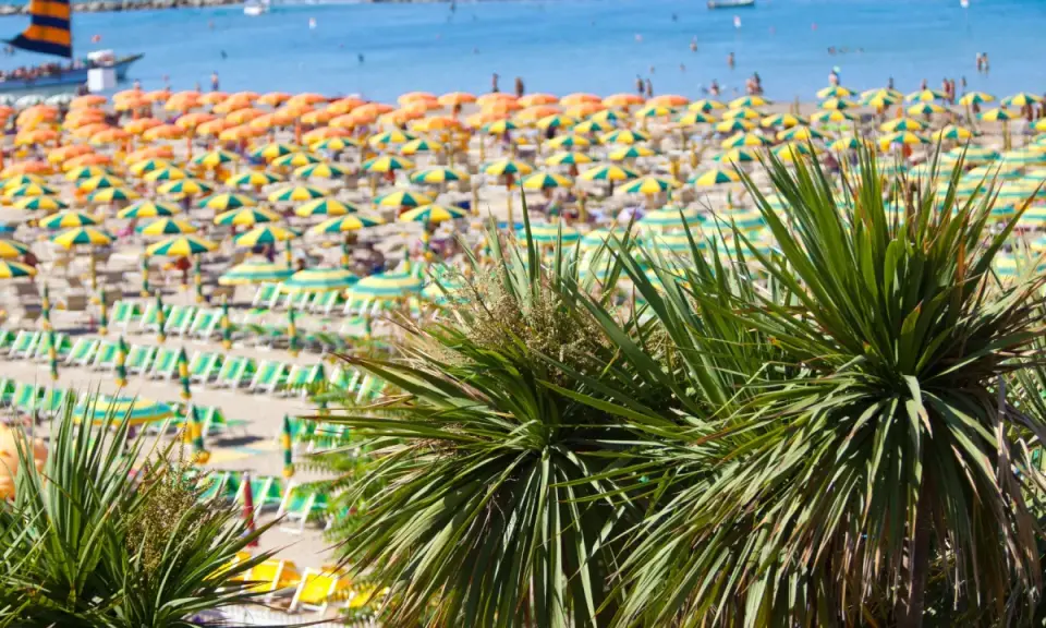 Palme verdi in primo piano su una spiaggia affollata con ombrelloni gialli e arancioni, lettini e il mare azzurro. È il mare più bello della riviera romagnola.