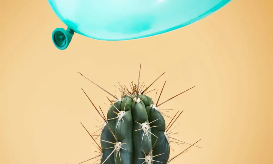 Un palloncino azzurro incombe su un cactus spinoso, metafora dei sintomi di una persona instabile.
