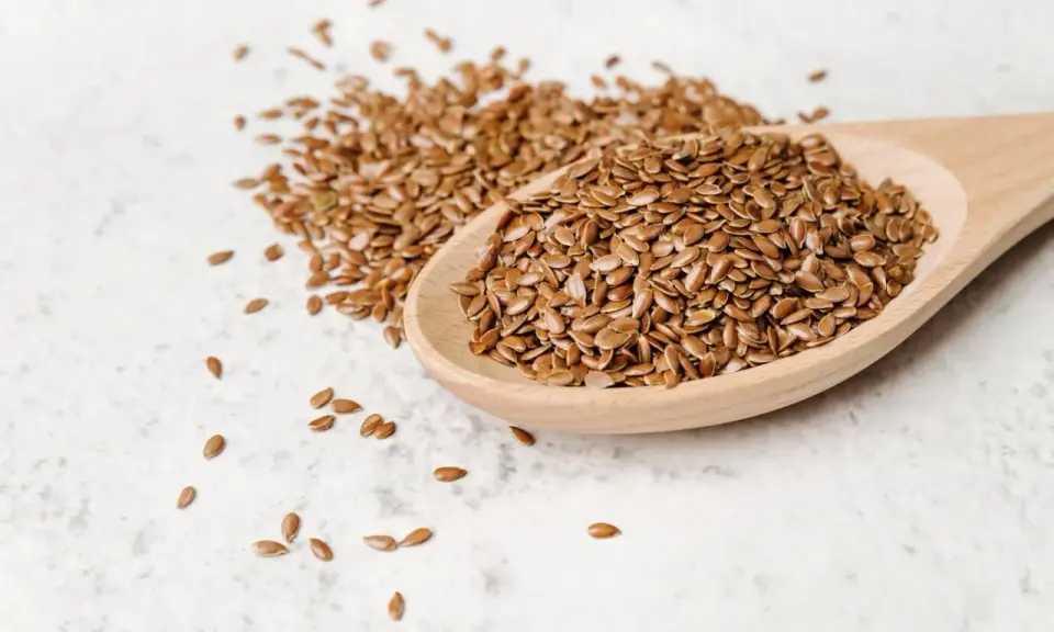 Łyżka pełna siemienia lnianego, idealnego dla zdrowia psa. Te małe nasionka to bogactwo kwasów omega-3.
