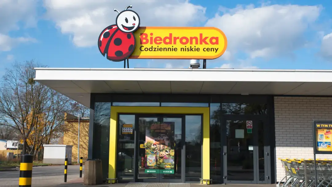 Ile płaci biedronka za wynajem gruntu? Zaskakujące stawki w Polsce