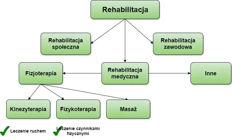 Fizjoterapia a rehabilitacja: kluczowe różnice i kiedy wybrać specjalistę