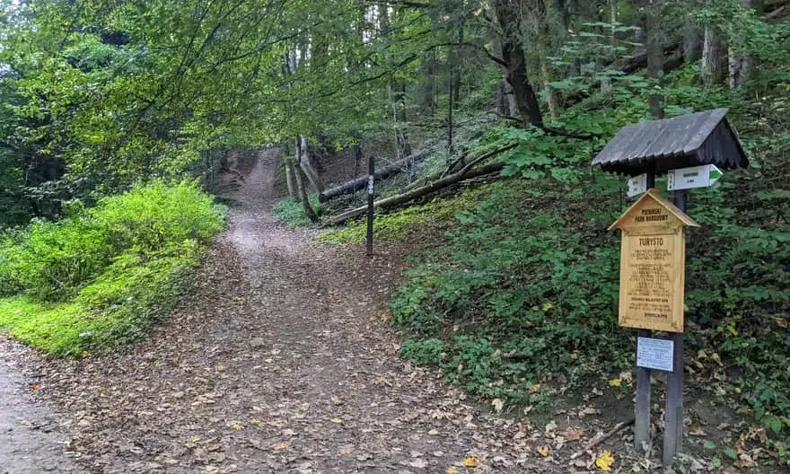 Który szlak na Sokolicę z Krościenka wybrać i dlaczego? Poradnik!