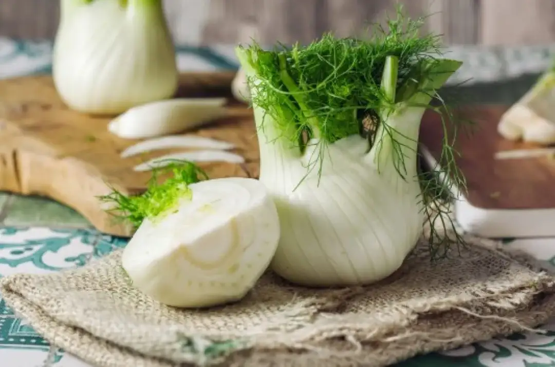 Koper włoski (Fenchel): nazwy, smak, przepisy i zdrowie