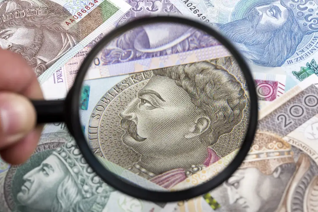Dieta z tytułu delegacji a egzekucja komornicza - Czy jest chroniona?
