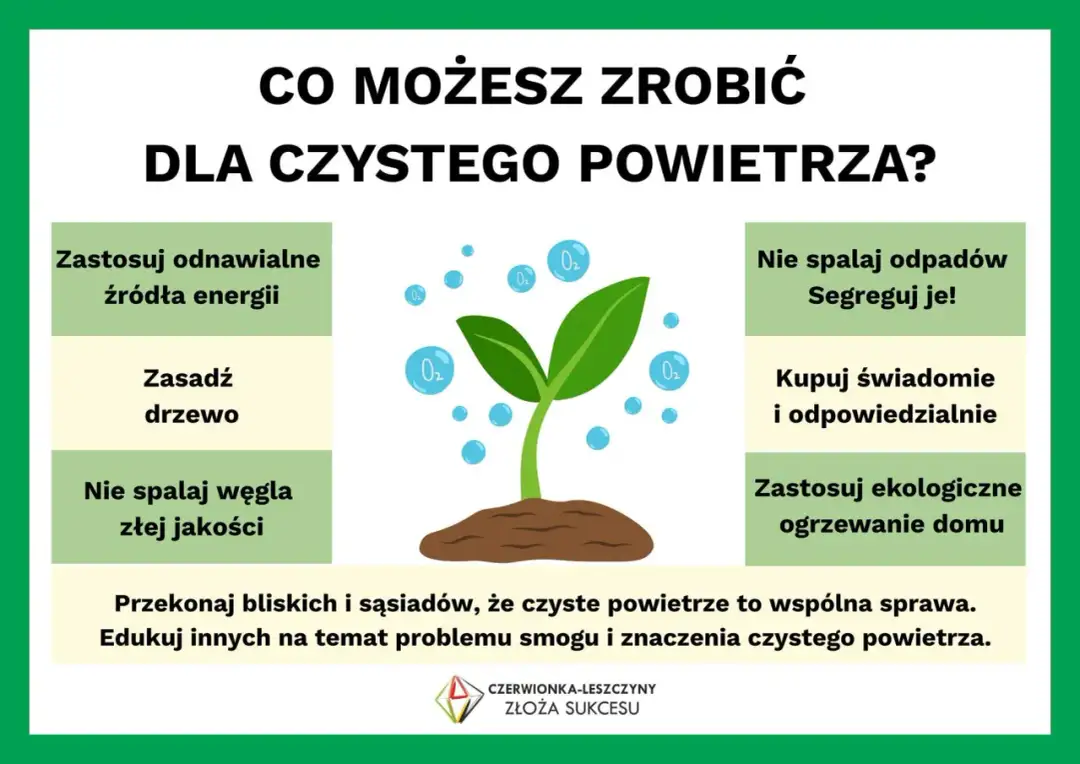 Ekologiczne źródła energii w Polsce - Klucz do czystego powietrza?