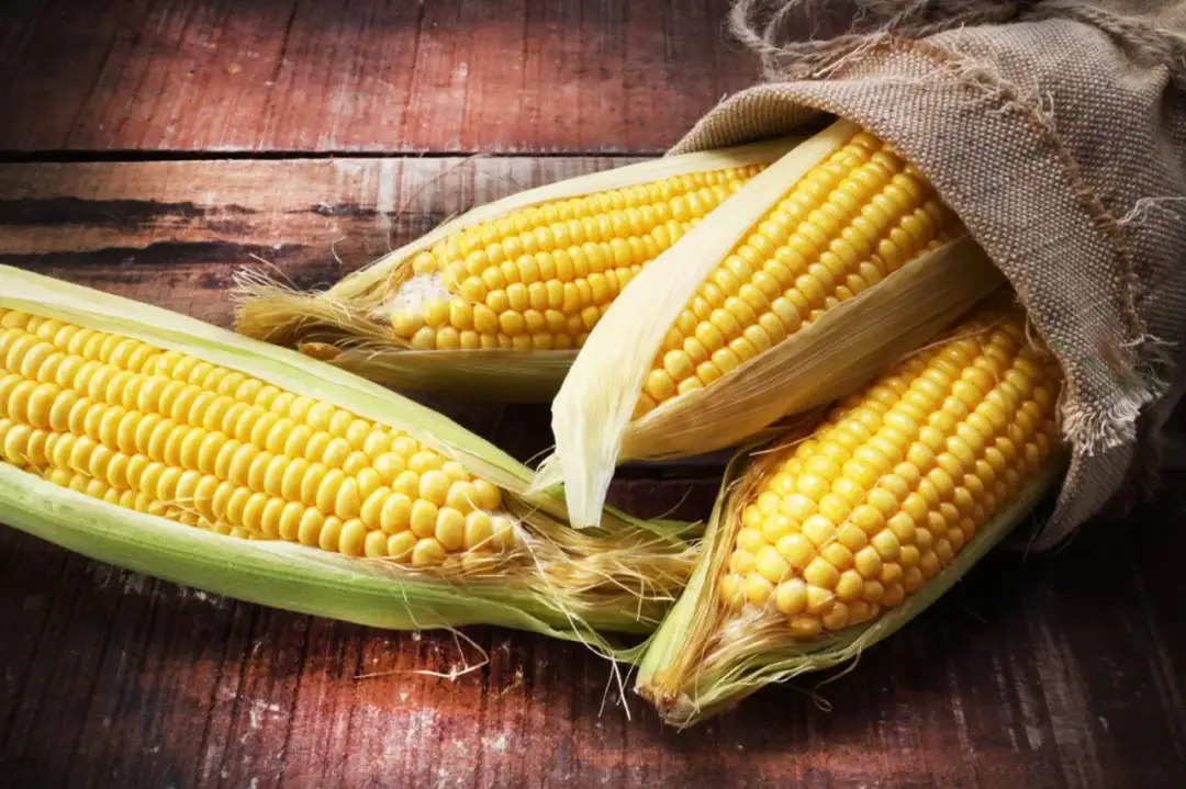 Ist Mais Low Carb? - Warum die Menge den Unterschied macht