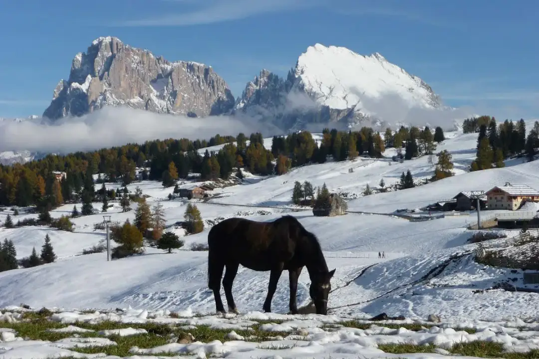 Neve in Montagna - Dove trovarla e cosa fare in Italia?