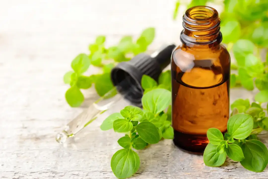 Kapsułki z oregano: Jak stosować bezpiecznie i efektywnie?