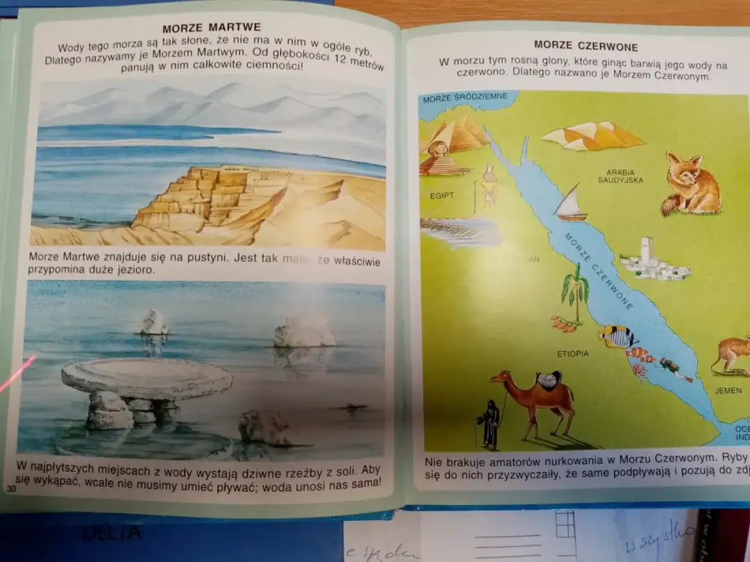 Morze Martwe jest bardzo słone, a Morze Czerwone ma glony. Oba są ciekawe, ale co jest bardziej słone morze czy ocean?
