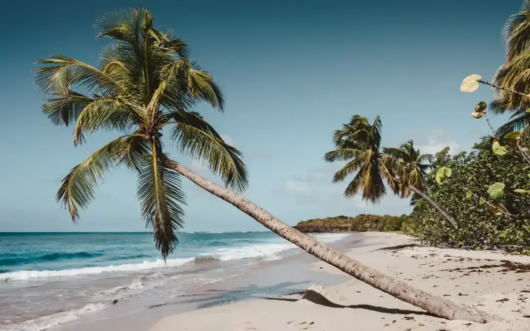 Jak zaplanować wymarzony odpoczynek na Bali: wyprawa życia od A do Z