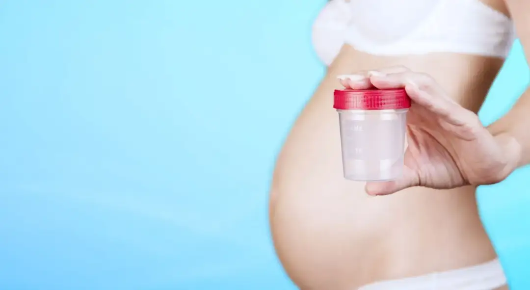 Glukoza w moczu w ciąży: Co oznacza podwyższony poziom?