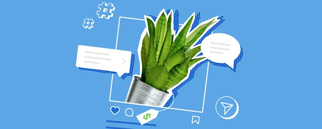 Jak wejść w link w bio na Instagramie i co zrobić, gdy nie działa?