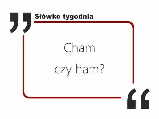 Poprawna pisownia słowa cham - wszystkie zasady i odmiany w jednym miejscu