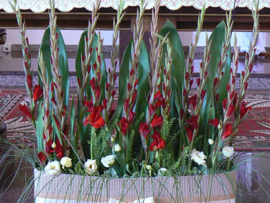 Jakie kwiaty na ołtarz? Najlepsze wybory na wyjątkowe ceremonie