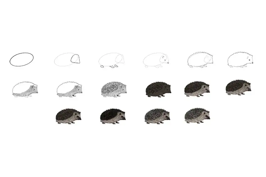 Igel zeichnen: Einfache Schritt-für-Schritt-Anleitung für Anfänger