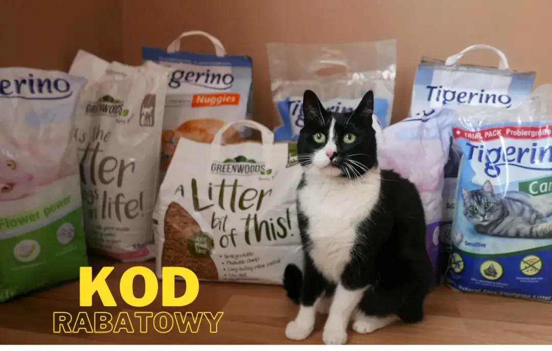 Czarno-biały kot siedzi przed kilkoma workami żwirku dla kota.
