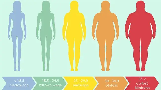 Idealne proporcje wagi do wzrostu - porady dla osób o wzroście 176 cm