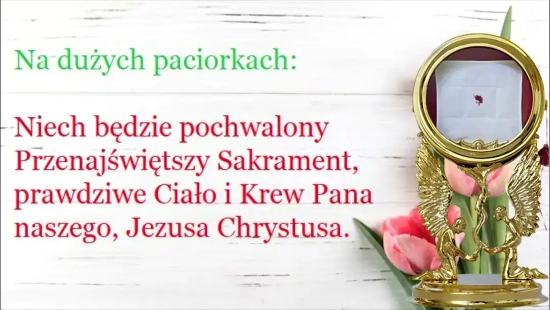 Czemu mówimy Niechaj będzie pochwalony Przenajświętszy Sakrament? Czemu mówimy Niechaj będzie pochwalony Przenajświętszy Sakrament?
