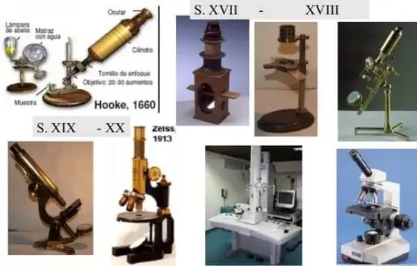 En que año se invento el microscopio y quién fue su creador