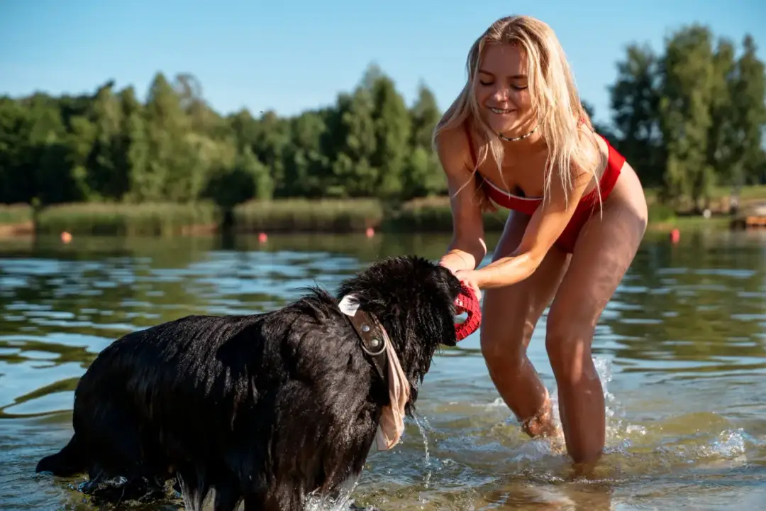 Mazury z psem - Jak uniknąć błędów i naprawdę odpocząć?