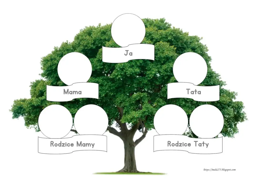 Szablony drzewa do druku: prace plastyczne i genealogia