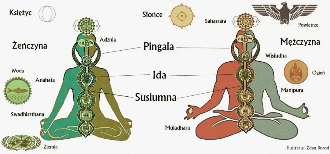 Poza 7 czakr: Kundalini i mistrzostwo energii dla zaawansowanych