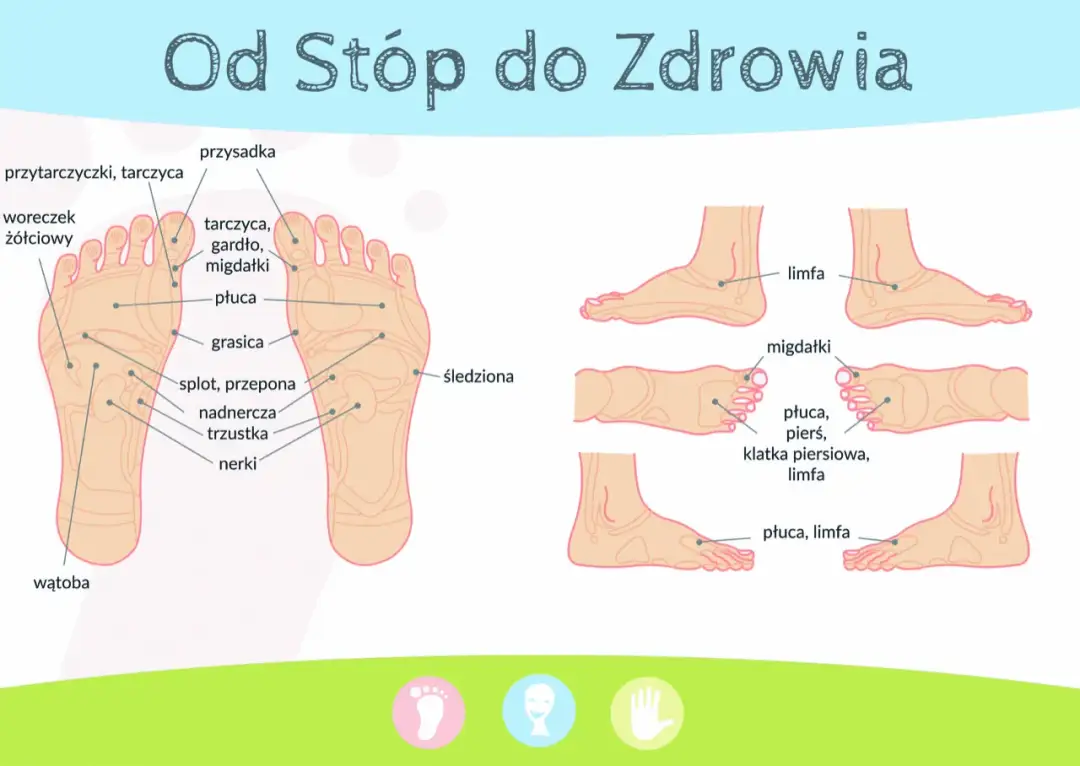 Refleksologia stóp - Odkryj mapę zdrowia na swoich stopach