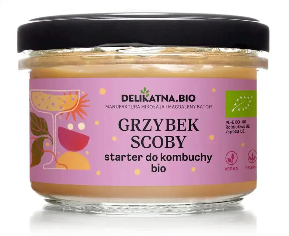 Gdzie kupić grzyb herbaciany do kombuchy? Sprawdź najlepsze miejsca