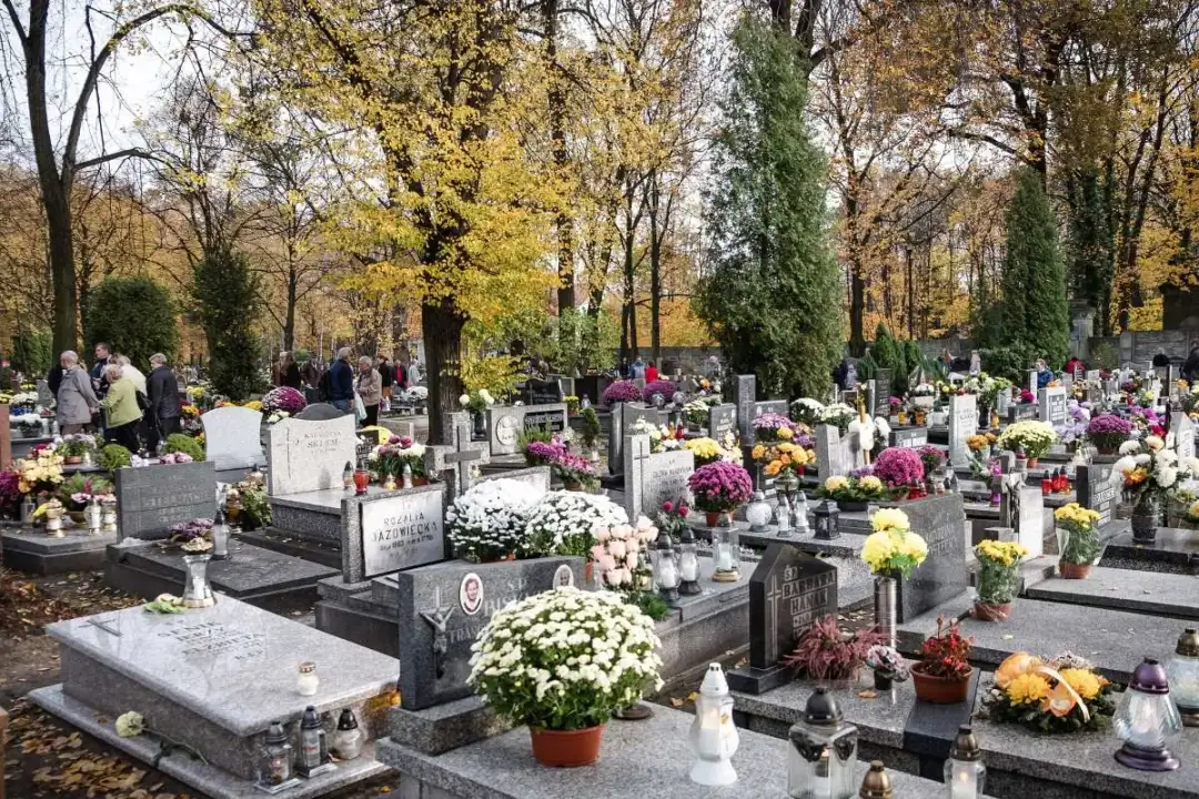 Cmentarze komunalne Katowice: przewodnik, lokalizacje, opłaty Cmentarze komunalne Katowice: przewodnik, lokalizacje, opłaty