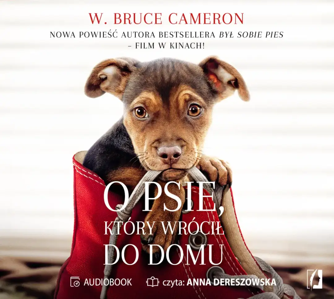 O psie który wrócił do domu książka - wzruszająca historia lojalności O psie który wrócił do domu książka - wzruszająca historia lojalności