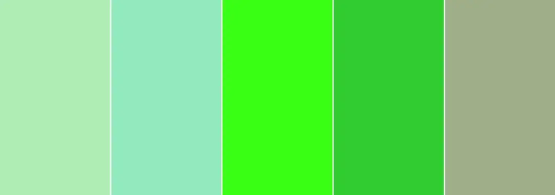 Colores que contrastan con el verde - Guía para no fallar al combinar