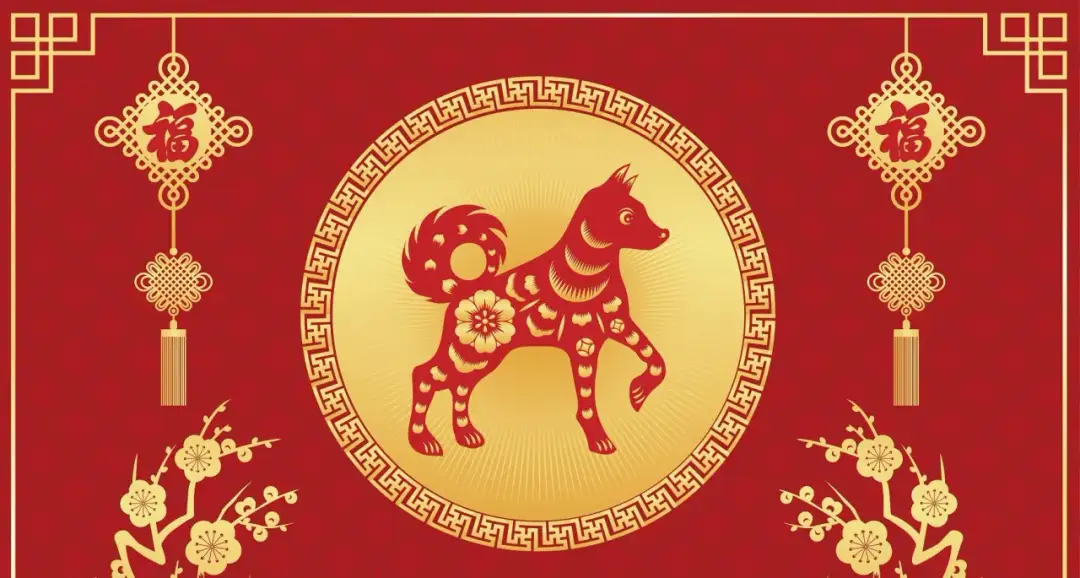 Pies jako chiński znak zodiaku: poznaj jego charakterystykę