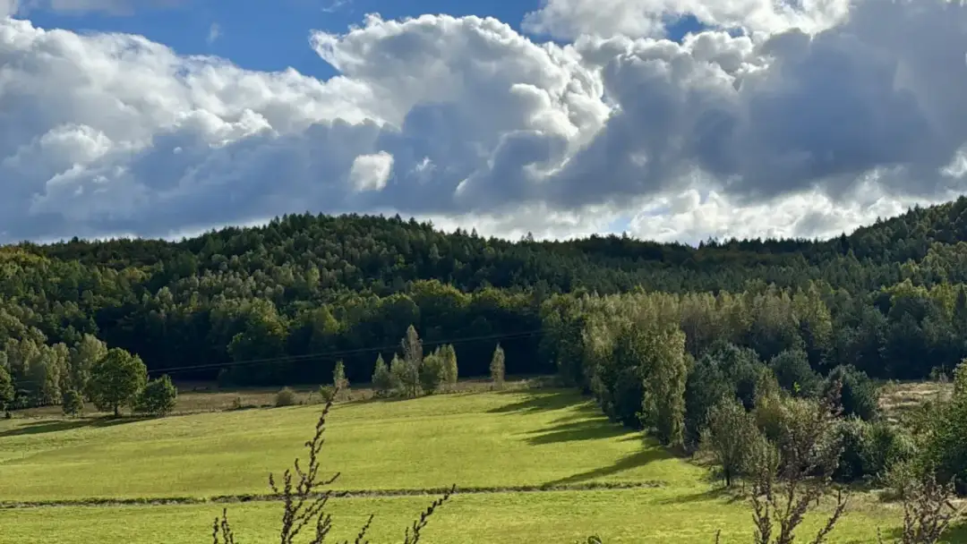Spacer na Kaszubach - Najlepsze trasy i jak wybrać tę idealną?