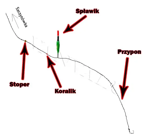 Jak zamontować spławik? Prosty poradnik krok po kroku